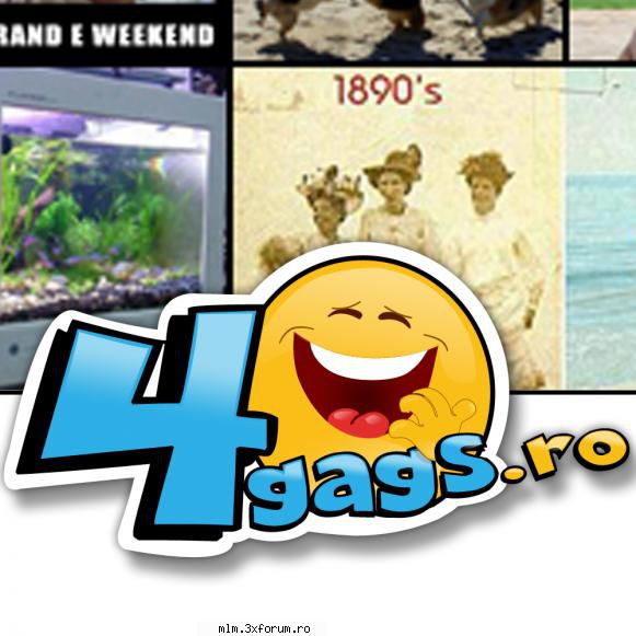 www.4gags.ro - Pe acest site gasiti divertisment de cea mai buna - Publicitate gratuita